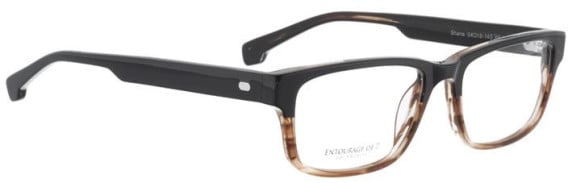 Entourage of 7 Shane glasses in Brown/Clear Brown