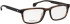 Entourage of 7 Shane-Xl glasses in Brown/Brown