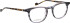 Entourage of 7 Weston glasses in Grey/Brown