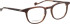Entourage of 7 Weston glasses in Brown/Brown