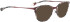 Bellinger Arc-4 sunglasses in Purple/