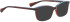 Bellinger Brows-4 sunglasses in Red/Red