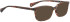 Bellinger Brows-4 sunglasses in Brown/Brown