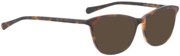 Bellinger Lamina sunglasses in Tortoiseshell