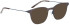 Bellinger Less Titan-5891 sunglasses in Brown/Brown