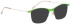 Bellinger Less Titan-5892 sunglasses in Green/Green