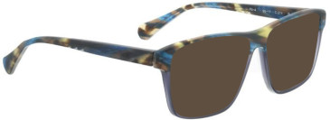 Bellinger Pit-4 sunglasses in Brown/Brown
