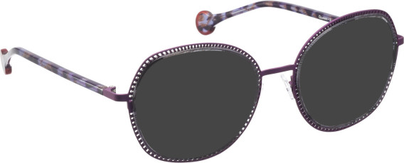 Bellinger Queen-3 sunglasses in Purple/Grey