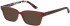 Joules JO3010 Sunglasses in Crystal Red