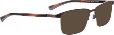Bellinger Speed-800 sunglasses in Brown/Brown