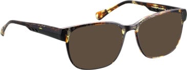 Bellinger Tornado sunglasses in Brown/Green