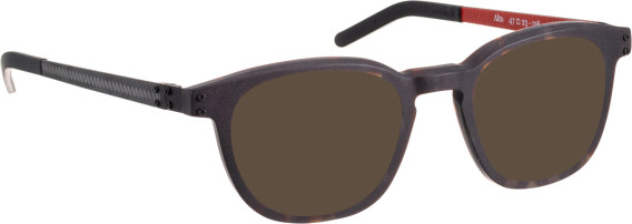 Blac Alto sunglasses in Brown/Brown