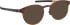 Blac Laax sunglasses in Brown/Black