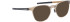 Blac Ruka sunglasses in Brown/Brown