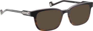Entourage of 7 Archer sunglasses in Black/Brown