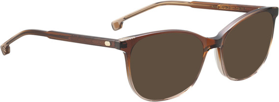 Entourage of 7 Aviva sunglasses in Brown/Brown