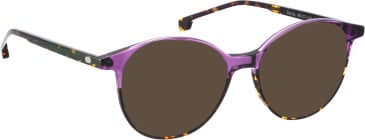 Entourage of 7 Benita sunglasses in Pink/Brown