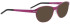 Entourage of 7 Bonita sunglasses in Purple/Purple