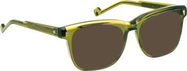 Entourage of 7 Evander sunglasses in Green/Green