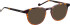 Entourage of 7 Jordan sunglasses in Brown/Brown