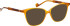Entourage of 7 Luna sunglasses in Brown/Brown
