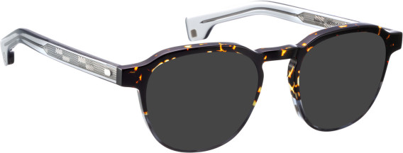 Entourage of 7 Miles sunglasses in Brown/Crystal