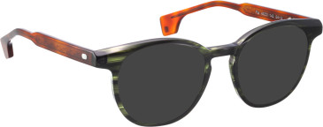 Entourage of 7 Pia sunglasses in Green/Brown
