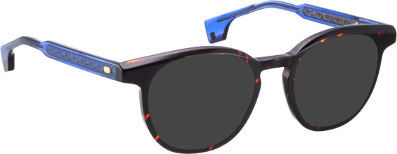 Entourage of 7 Pia sunglasses in Brown/Blue