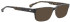 Entourage of 7 Shane sunglasses in Dark Grey/Brown