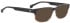 Entourage of 7 Shane sunglasses in Brown/Clear Brown
