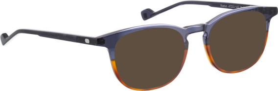 Entourage of 7 Weston sunglasses in Blue/Brown