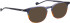 Entourage of 7 Weston sunglasses in Blue/Brown