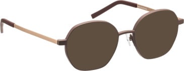 Bellinger Boldline-4 sunglasses in Brown/Rose Gold