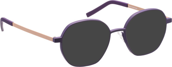 Bellinger Boldline-4 sunglasses in Purple/Pink