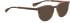 Bellinger Brows-3 sunglasses in Tortoise/Brown