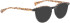 Bellinger Brows-3 sunglasses in Black/Black