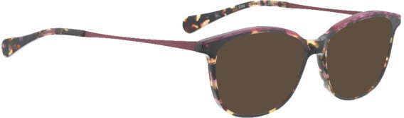 Bellinger Edo sunglasses in Brown/Burgundy