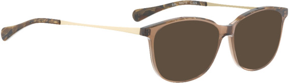 Bellinger Edo sunglasses in Clear Brown