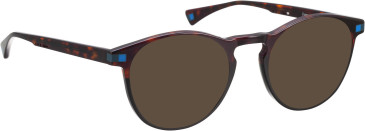 Bellinger Fraser sunglasses in Brown/Brown