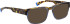 Bellinger Gloster sunglasses in Blue/Brown