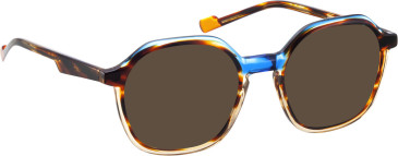 Bellinger Inside-5 sunglasses in Blue/Brown