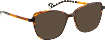 Bellinger Just-331 sunglasses in Brown/Brown