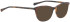 Bellinger Lamina sunglasses in Tortoiseshell