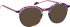 Bellinger Less-Ace-2283 sunglasses in Brown/Purple