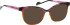 Bellinger Less-Ace-2284 sunglasses in Purple/Brown