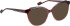 Bellinger Less-Ace-2314 sunglasses in Purple/Black
