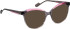Bellinger Less-Ace-2314 sunglasses in Grey/Red