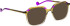 Bellinger Less-Ace-2340 sunglasses in Green/Purple
