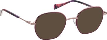 Bellinger Line-1 sunglasses in Purple/Rose Gold