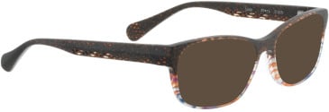 Bellinger Lucy-Bel-50 sunglasses in Brown/Brown